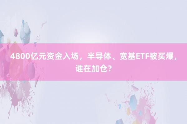 4800亿元资金入场，半导体、宽基ETF被买爆，谁在加仓？