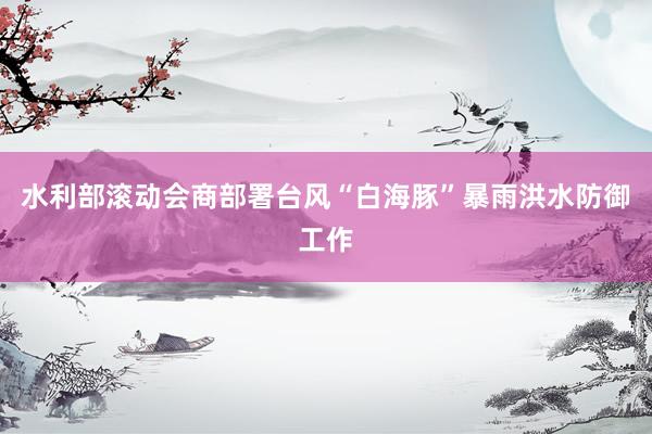 水利部滚动会商部署台风“白海豚”暴雨洪水防御工作