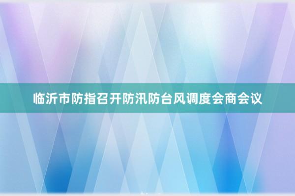 临沂市防指召开防汛防台风调度会商会议