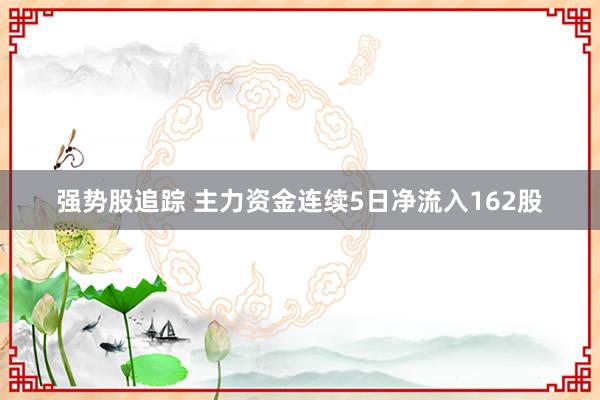 强势股追踪 主力资金连续5日净流入162股