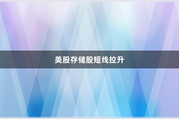 美股存储股短线拉升