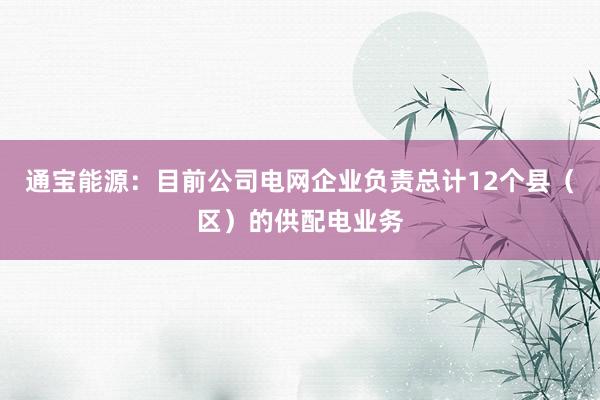 通宝能源：目前公司电网企业负责总计12个县（区）的供配电业务