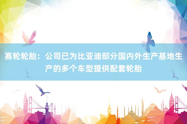 赛轮轮胎：公司已为比亚迪部分国内外生产基地生产的多个车型提供配套轮胎