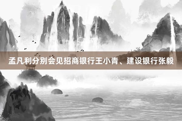 孟凡利分别会见招商银行王小青、建设银行张毅