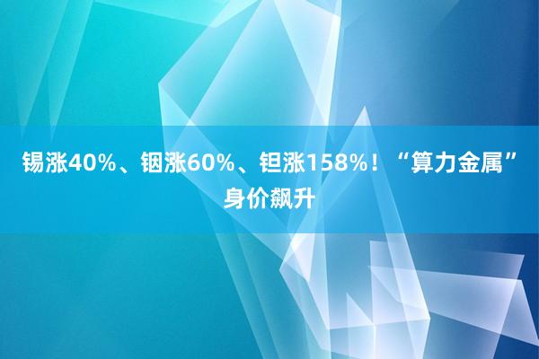 锡涨40%、铟涨60%、钽涨158%！“算力金属”身价飙升