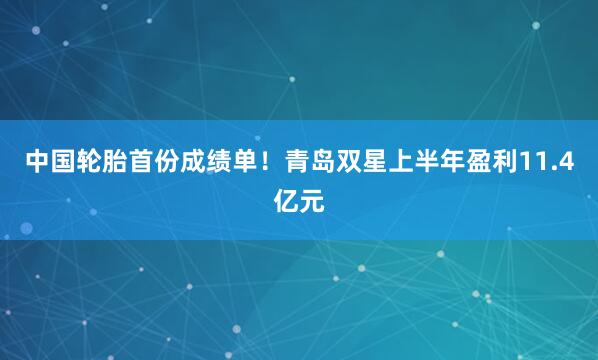 中国轮胎首份成绩单！青岛双星上半年盈利11.4亿元