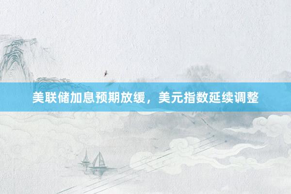 美联储加息预期放缓，美元指数延续调整