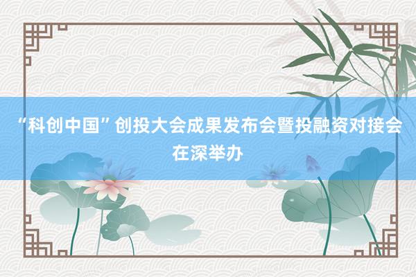 “科创中国”创投大会成果发布会暨投融资对接会在深举办