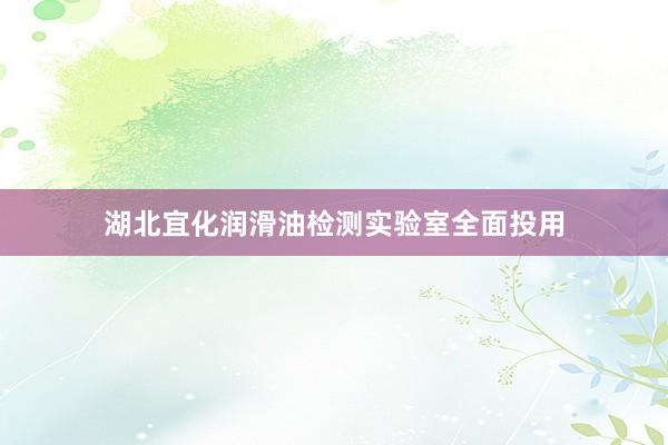 湖北宜化润滑油检测实验室全面投用