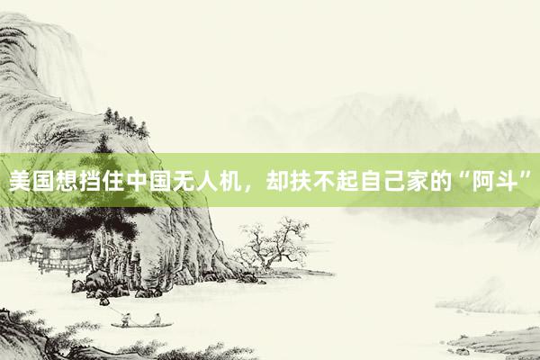 美国想挡住中国无人机，却扶不起自己家的“阿斗”