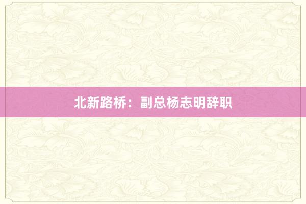 北新路桥：副总杨志明辞职