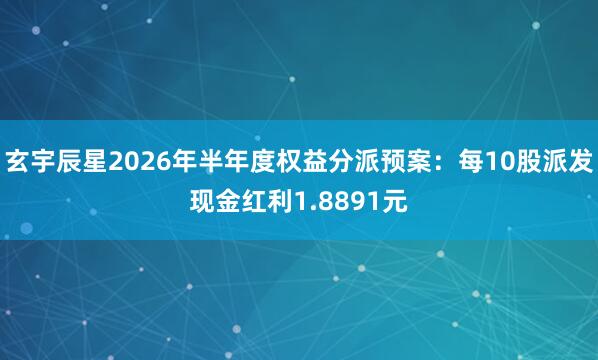 玄宇辰星2026年半年度权益分派预案：每10股派发现金红利1.8891元