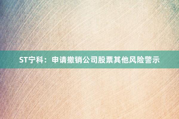 ST宁科：申请撤销公司股票其他风险警示