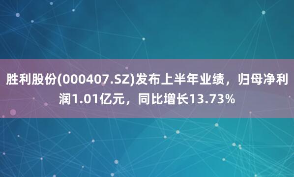 胜利股份(000407.SZ)发布上半年业绩，归母净利润1.01亿元，同比增长13.73%