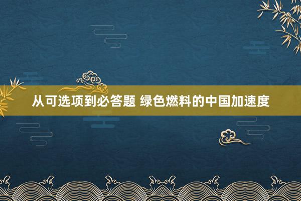 从可选项到必答题 绿色燃料的中国加速度