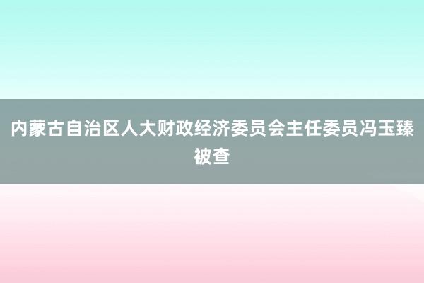 内蒙古自治区人大财政经济委员会主任委员冯玉臻被查