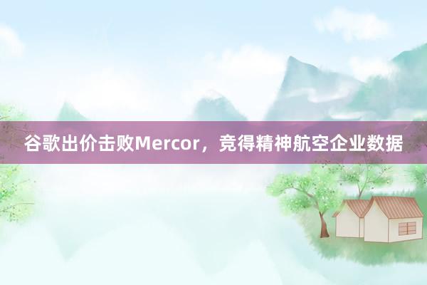 谷歌出价击败Mercor，竞得精神航空企业数据
