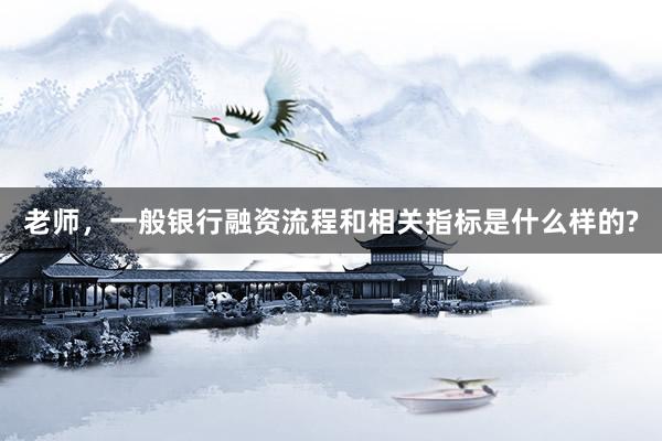 老师，一般银行融资流程和相关指标是什么样的?
