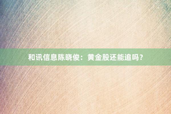 和讯信息陈晓俊：黄金股还能追吗？