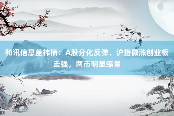 和讯信息盖祎楠：A股分化反弹，沪指微涨创业板走强，两市明显缩量