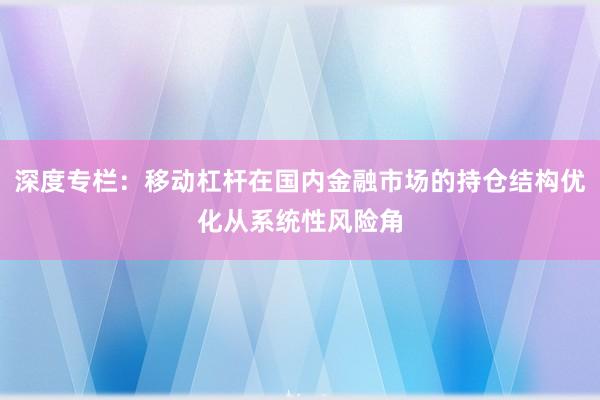 深度专栏：移动杠杆在国内金融市场的持仓结构优化从系统性风险角