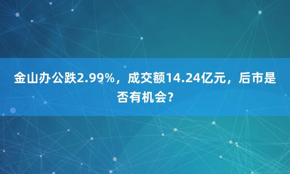 金山办公跌2.99%，成交额14.24亿元，后市是否有机会？