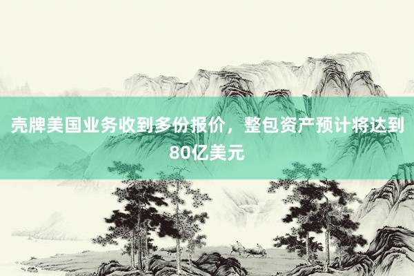 壳牌美国业务收到多份报价，整包资产预计将达到80亿美元