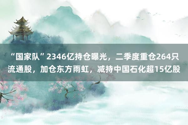 “国家队”2346亿持仓曝光，二季度重仓264只流通股，加仓东方雨虹，减持中国石化超15亿股