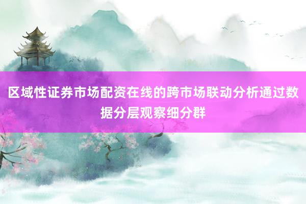 区域性证券市场配资在线的跨市场联动分析通过数据分层观察细分群