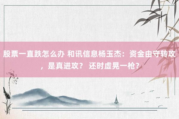 股票一直跌怎么办 和讯信息杨玉杰：资金由守转攻，是真进攻？ 还时虚晃一枪？