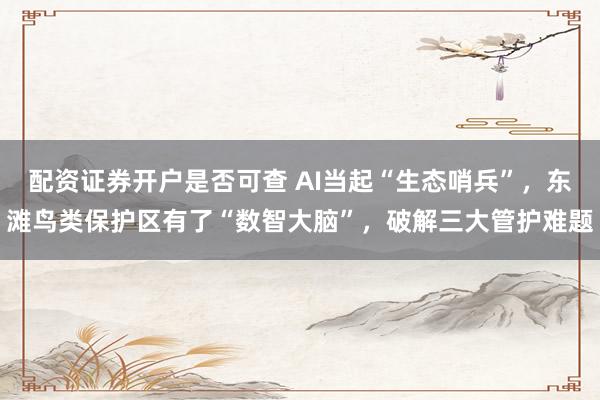 配资证券开户是否可查 AI当起“生态哨兵”，东滩鸟类保护区有了“数智大脑”，破解三大管护难题