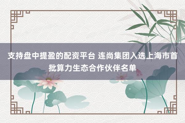 支持盘中提盈的配资平台 连尚集团入选上海市首批算力生态合作伙伴名单