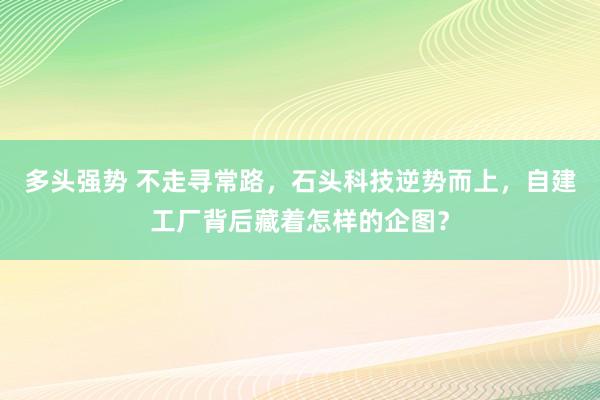 多头强势 不走寻常路，石头科技逆势而上，自建工厂背后藏着怎样的企图？
