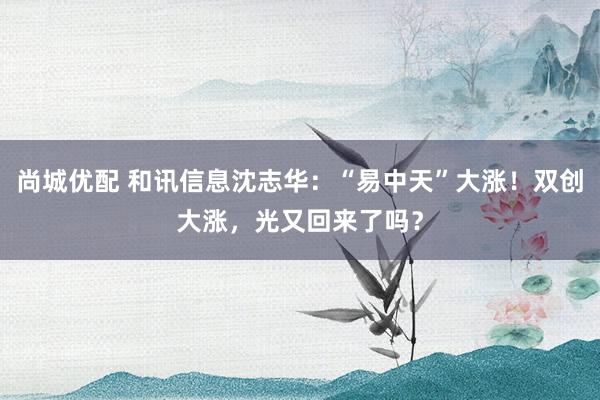 尚城优配 和讯信息沈志华：“易中天”大涨！双创大涨，光又回来了吗？