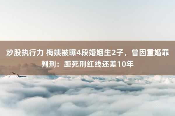 炒股执行力 梅姨被曝4段婚姻生2子，曾因重婚罪判刑：距死刑红线还差10年