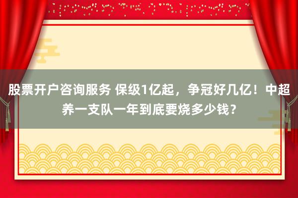 股票开户咨询服务 保级1亿起，争冠好几亿！中超养一支队一年到底要烧多少钱？