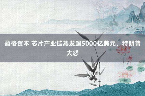 盈格资本 芯片产业链蒸发超5000亿美元，特朗普大怒