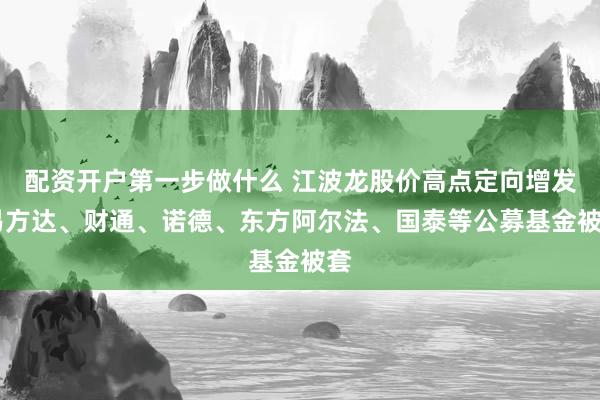 配资开户第一步做什么 江波龙股价高点定向增发 易方达、财通、诺德、东方阿尔法、国泰等公募基金被套