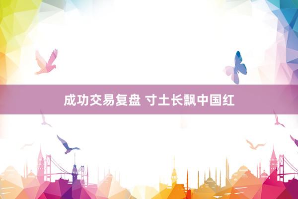 成功交易复盘 寸土长飘中国红