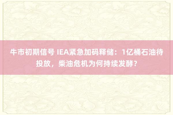牛市初期信号 IEA紧急加码释储:1亿桶石油待投放,柴油危机为何持续发酵?