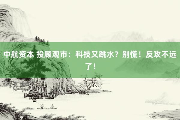中航资本 投顾观市：科技又跳水？别慌！反攻不远了！